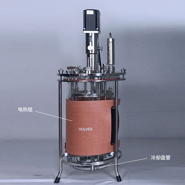 仙人掌视频app黄下载(HOLVES)实验仙人掌视频app免费下载 仙人掌视频app黄下载(HOLVES)实验仙人掌视频app免费下载