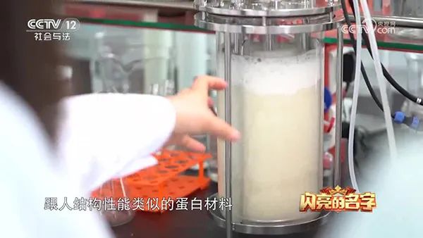 仙人掌视频app免费下载 仙人掌视频app免费下载